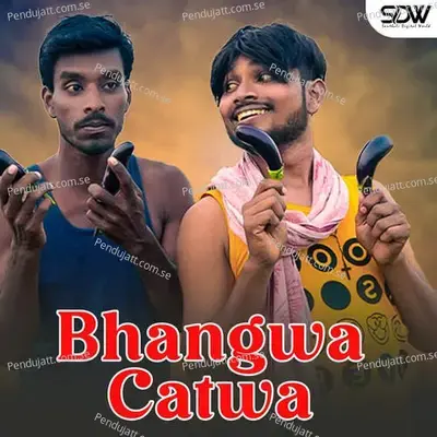 Bhangwa Catwa - Stephan Tudu album cover 