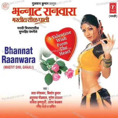 Mi Kashi Tula Re - Anuradha Paudwal album cover 