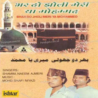 Bhar Do Jholi Meri Ya Mohammed - Mohammad Tufail Niazi album cover 