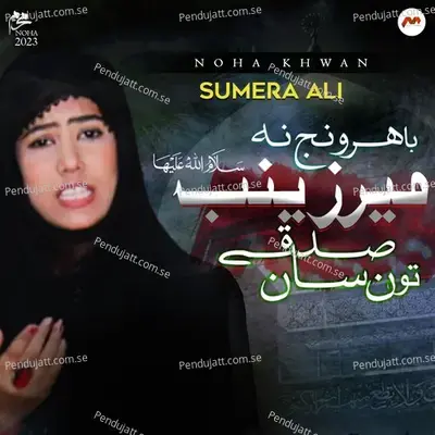 Bhar Wanj Na Mir Zainab Sadqe Ton Saan - Sumera Ali album cover 