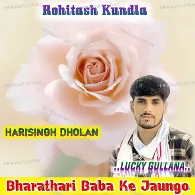 Bharathari Baba Ke Jaungo - Harisingh dholan album cover 