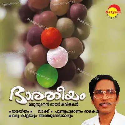 Punyapuranam Rama - V. Madhusoodanan Nair album cover 