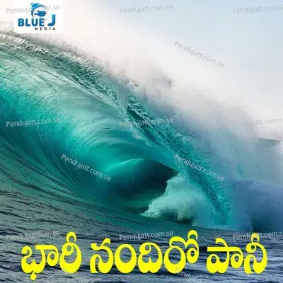 Bhari Nandiro Paani - AS Rathod album cover 