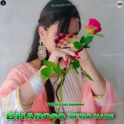 Bharoso Tero Nahe - Tahseem Dehangal album cover 