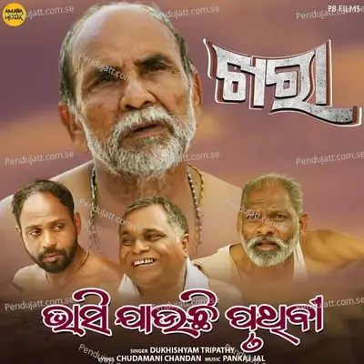 Bhasi Jauchhi Pruthi - Dukhishyam Tripathy album cover 