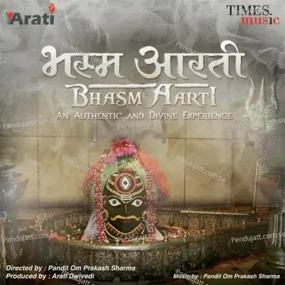 Bhasm Aarti - Various Artists cover album