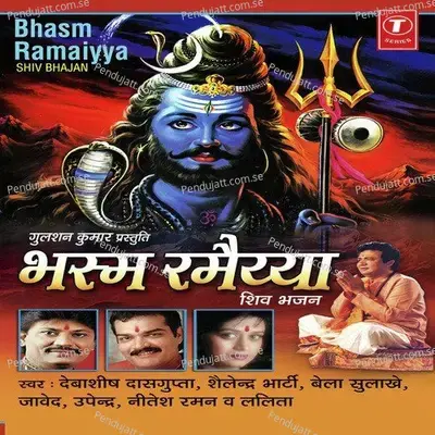 Laagi Lagan Hai Tere Naam Ki - Santosh Shrivastava album cover 