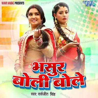 Bhasura Boli Bole - Sarvjit Singh cover album