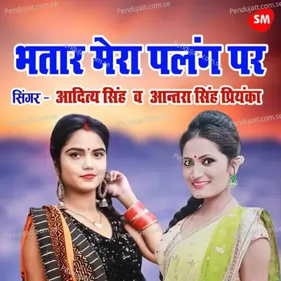 Bhataar Mera Palang Par Ruth Jayega - Aditya Singh album cover 