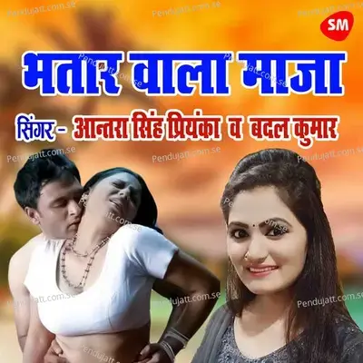 Bhataar Wala Maza Kabhi Deke Dekho - Antra Singh Priyanka album cover 