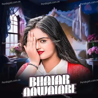 Bhatar Aawatare - Tiger Samrat album cover 