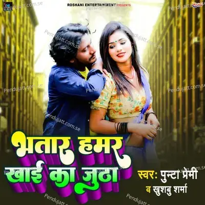 Bhatar Hamar Khai Jhutha - Punta Premi album cover 