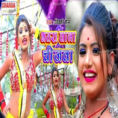 Bhatara Wala Chijawa - Vicky Boss album cover 