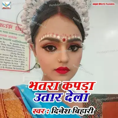 Bhatra Kapra Utar Dela - Dinesh Bihari album cover 