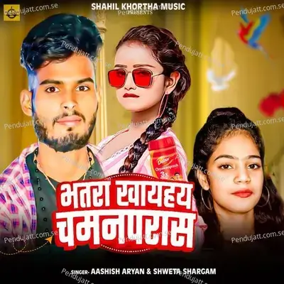 Bhatra Khay Hay Chawanprash - Ashish Aryan album cover 