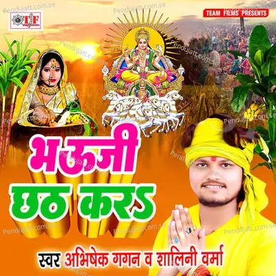 Molas Puja Ke Saman - Abhishek Gagan album cover 