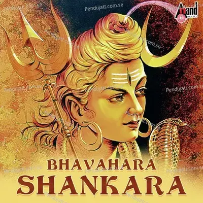 Shiva Shiva Shankara - Ajay Warrior album cover 