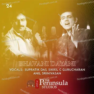 Bhavani Dayani - Raag - Bhairavi - Supratik Das album cover 