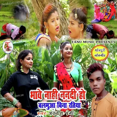 Bhave Nahi Nanadi Ho Balmua Bina Ratiya - Avnish Premi album cover 