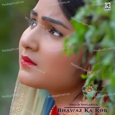 Bhawaj Ka Rob - Shaad Singariya album cover 