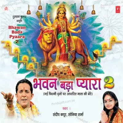 Naam Hai Vaishno Rani - Sandeep Kapoor album cover 