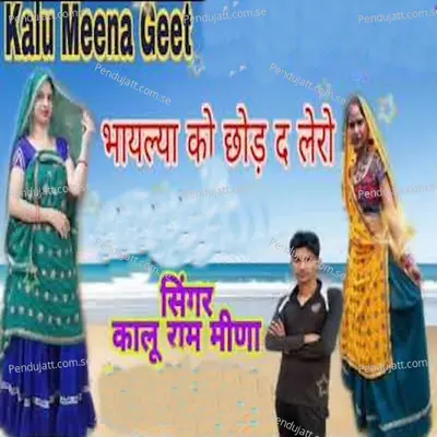 Bhayalya Ko Chod De Lero - Kalu Ram Meena album cover 