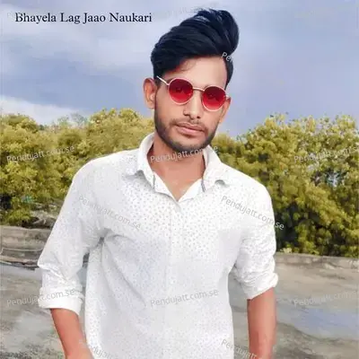 Bhayela Lag Jaao Naukari - Lochan Mahar Shekhpura album cover 