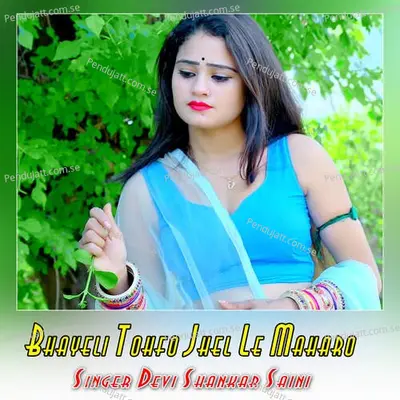 Bhayeli Tohfo Jhel Le Maharo - Devi Shankar Saini album cover 
