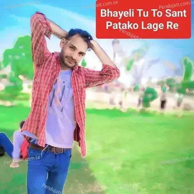 Bhayeli Tu To Sant Patako Lage Re - Lochan Mahar Shekhpura album cover 