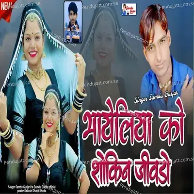 Bhayeliya Ko Sokin Jivdo - Samdu Gurjar album cover 