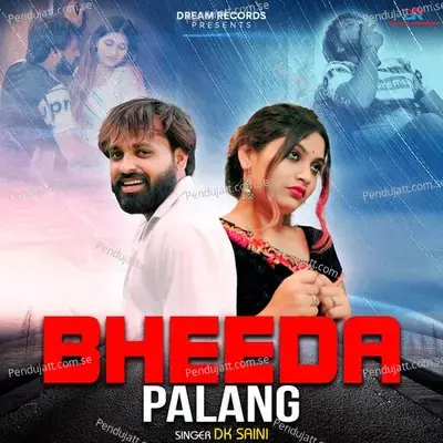 Bheeda Palang - DK Saini album cover 
