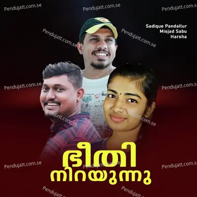 Bheedhi Nirayunnu - Sadique Pandallur album cover 