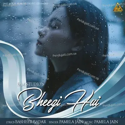 Bheegi Hui - Pamela Jain album cover 