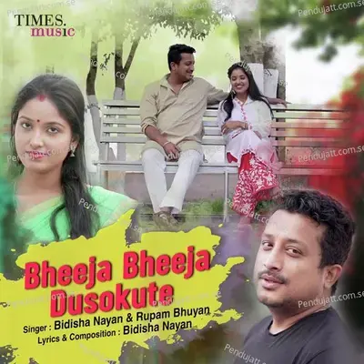 Bheeja Bheeja Dusokute - Bidisha Nayan album cover 