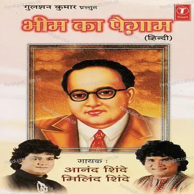 Ham Bheemwale - Anand Shinde album cover 