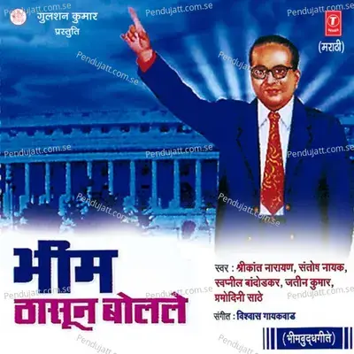 Bheem Pathane Chala - Pramodini Sathe album cover 