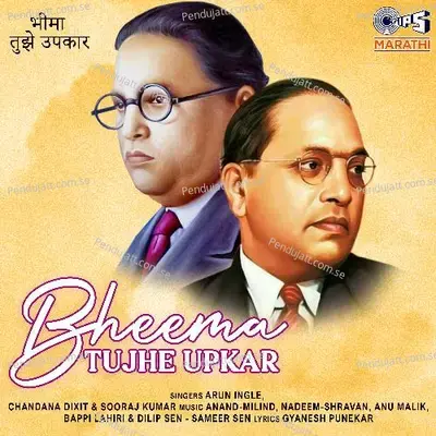 Bheema Tujhe Upkar - Anand-Milind cover album