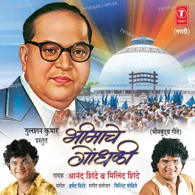 Bheemachya Mulan Jhaalanya Bhalan - Anand Shinde album cover 