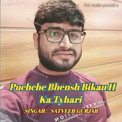 Bhensh Bikau H Ka Tyahri Satveer Gurjar - Satveer Gurjar album cover 