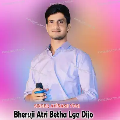 Bheruji Atri Betha Lga Dijo - Avinash Yogi album cover 