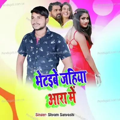 Bhetaibu Jahiya Aara Me - Shyam Sanyashi album cover 