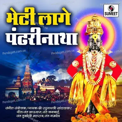 Ka Mhanta Bai - Shri Raghunathji Khandalkar album cover 