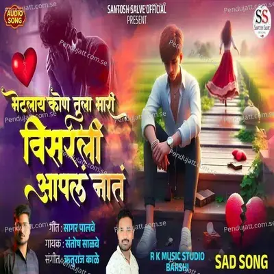 Bhetlay Kon Tula Bhari Visarli Aapla Nata - Santosh Salve album cover 
