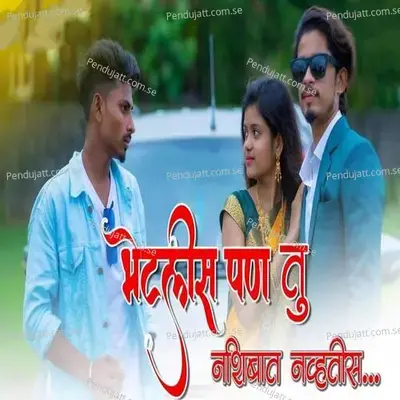 Bhetlis Pan Tu Nashibat Nhavtis - pakya singer album cover 