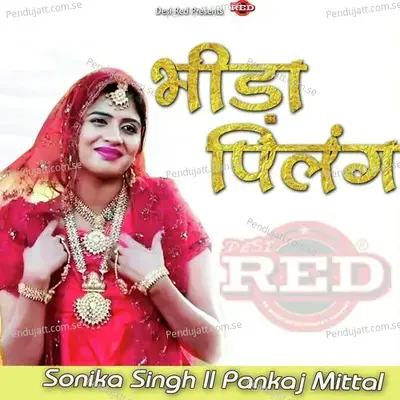 Bhida Pilang Hits - Arju Pall album cover 