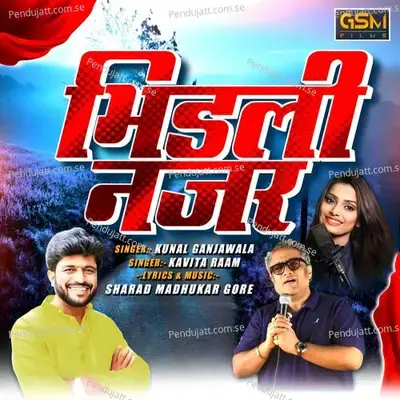 Bhidli Najar - Sharad Madhukar Gore album cover 