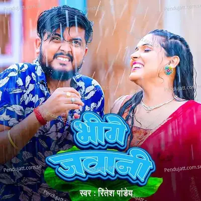 Bhige Jawani - Ritesh Pandey album cover 
