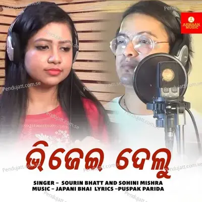 Bhijei Delu - Sourin Bhatt album cover 