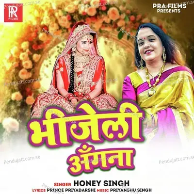 Bhijeli Angana - Honey Singh album cover 