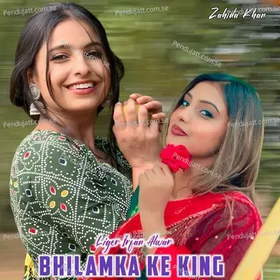 Bhilamka Ke King - Liger Irfan Alwar album cover 